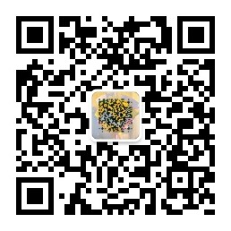 AI隐藏幻术图艺术二维码生成器小程序小易作品-明兔AI工具箱绘画AI写作视频生成器小易作品